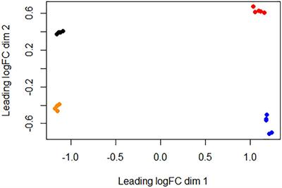 Transcriptomic Analysis of the Brucella melitensis Rev.1 Vaccine Strain in an Acidic Environment: Insights Into Virulence Attenuation